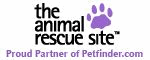 dog and cat rescue and adoption resources