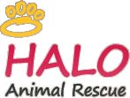 HALO Animal Rescue No-Kill Facility - Phoenix, Arizona